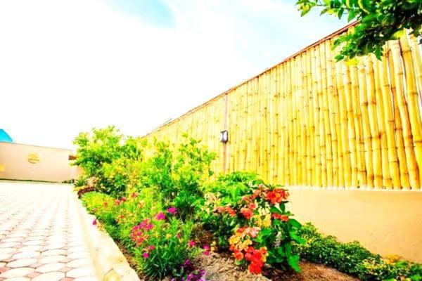 Safi House Panzió Boma la Ngombe Kültér fotó